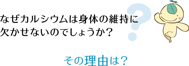 なぜカルシウムは身体の維持に欠かせないのでしょうか？