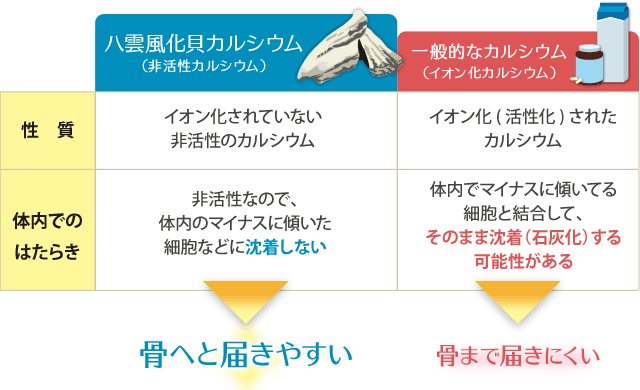 八雲風化貝カルシウムと一般的なカルシウムの比較