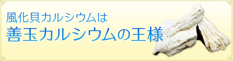 風化貝カルシウムは善玉カルシウムの王様